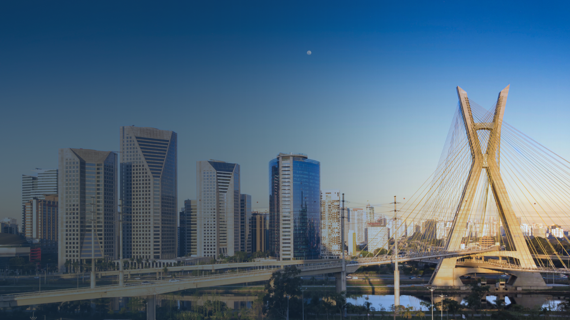 Binswanger Brazil – Soluções Imobiliárias Sob Medida